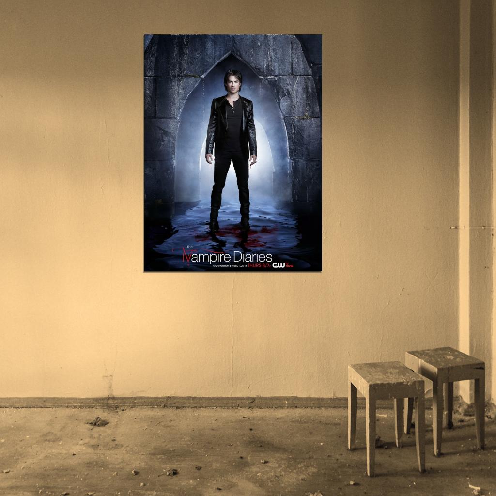 The Vampire Diaries Damon Salvatore Ian Somerhalder TV Series Wall Art Print Poster