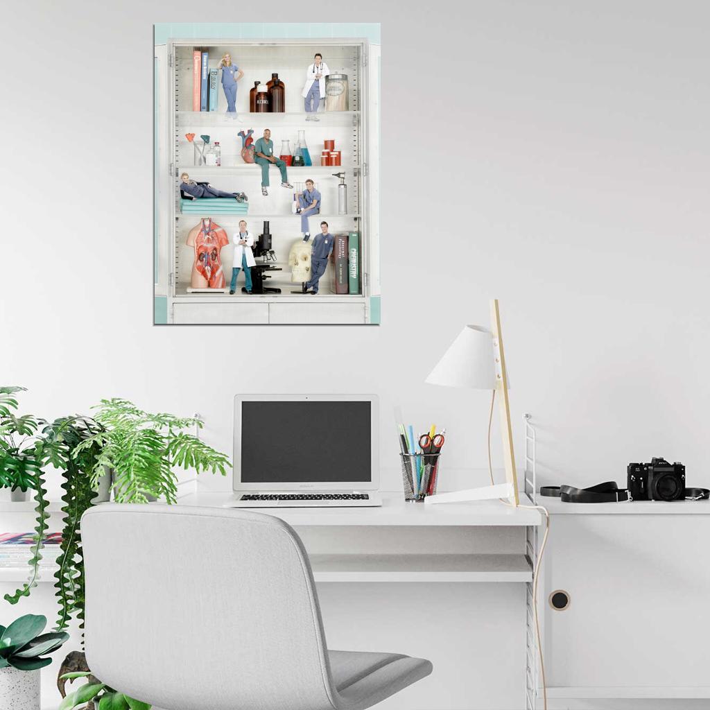 Scrubs Cast Characters TV Series Wall Art Print Poster