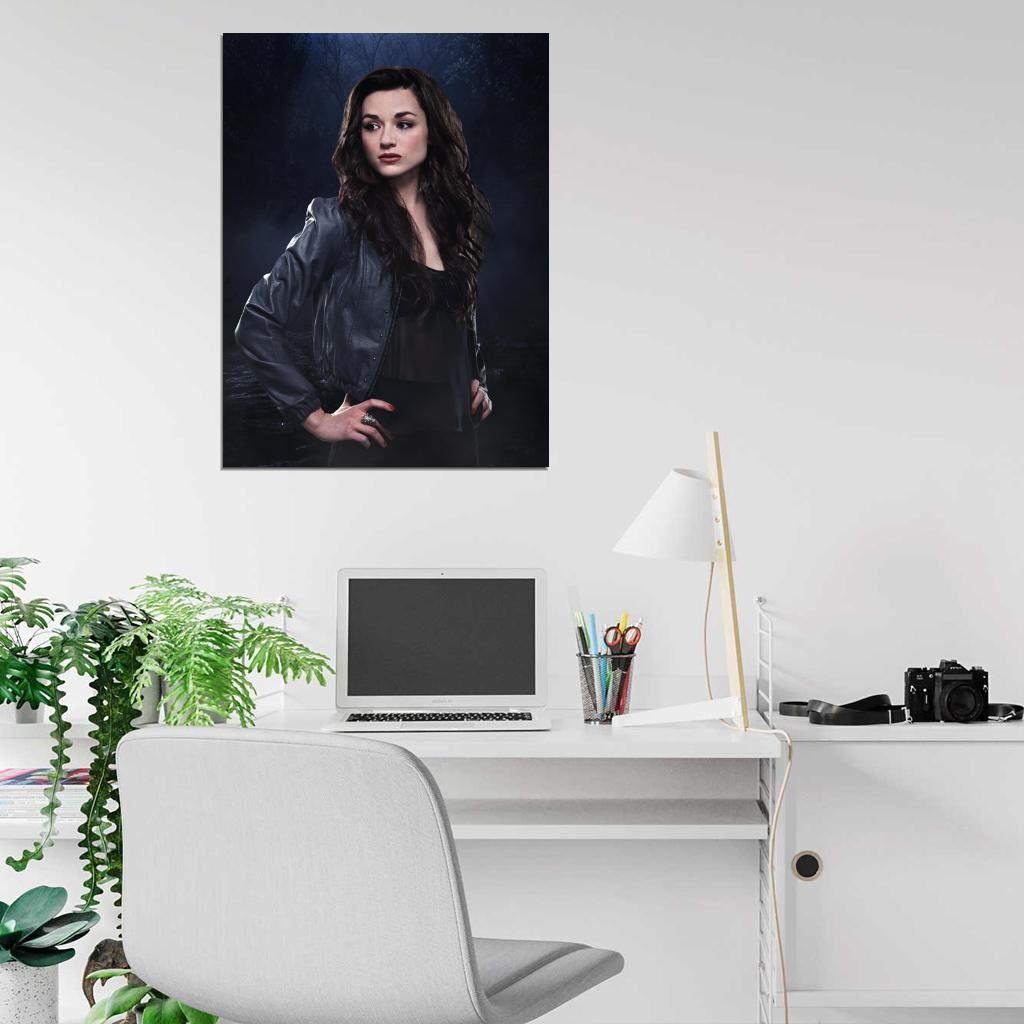 Teen Wolf Crystal Reed TV Series Wall Art Print Poster