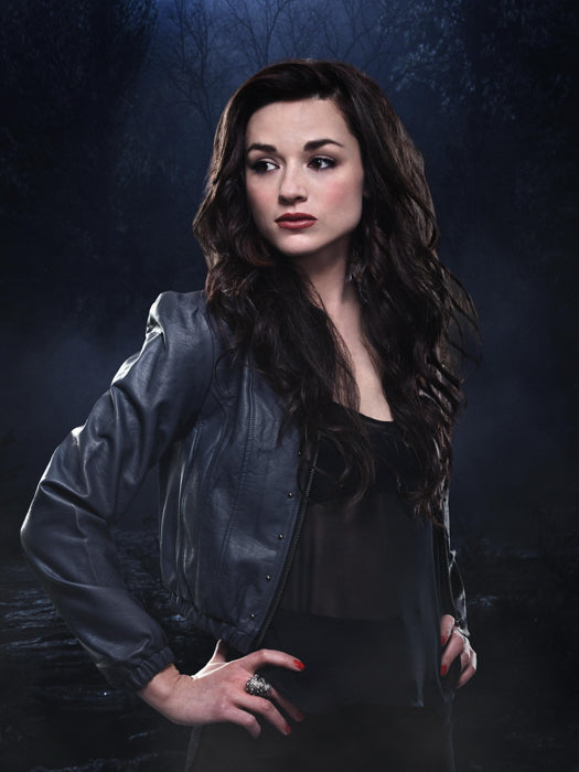 Teen Wolf Crystal Reed TV Series Wall Art Print Poster