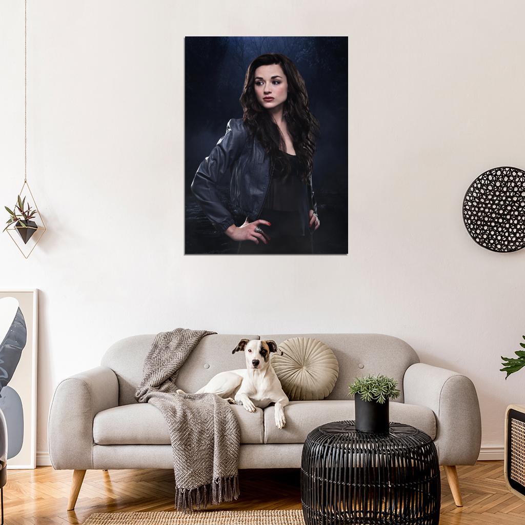 Teen Wolf Crystal Reed TV Series Wall Art Print Poster