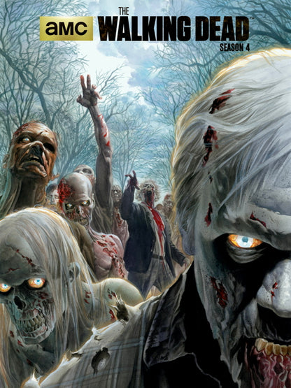 The Walking Dead Art TV Series Wall Art Print Poster