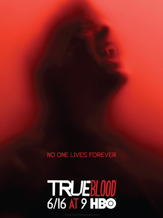 True Blood TV Series Wall Art Print Poster