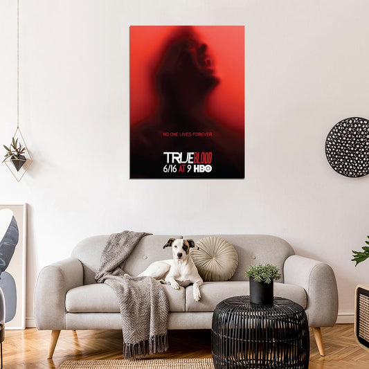 True Blood TV Series Wall Art Print Poster
