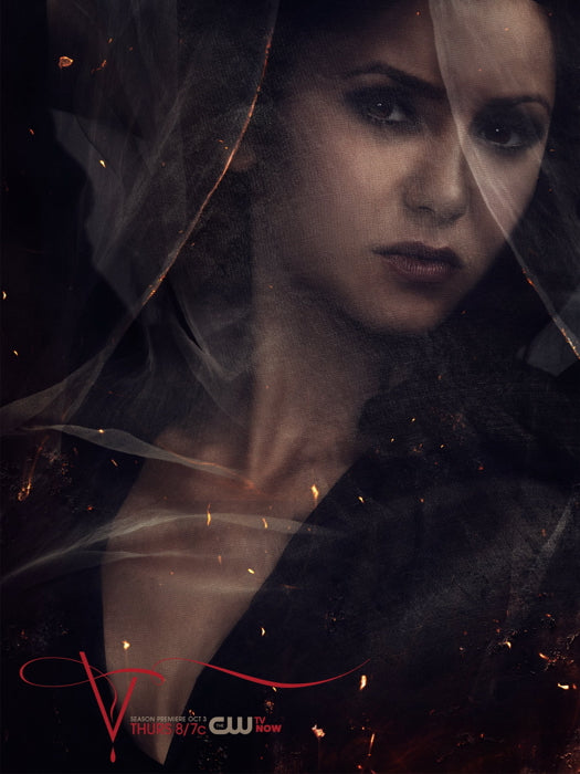 The Vampire Diaries Elena Gilbert Nina Dobrev TV Series Wall Art Print Poster