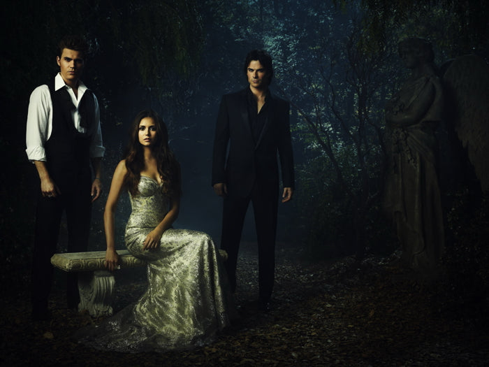 The Vampire Diaries Cast Characters TV Series Wall Art Print Poster