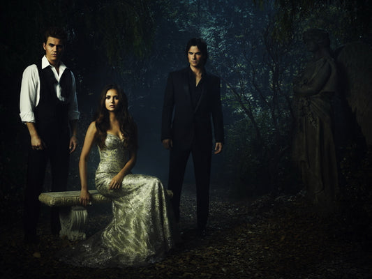 The Vampire Diaries Cast Characters TV Series Wall Art Print Poster