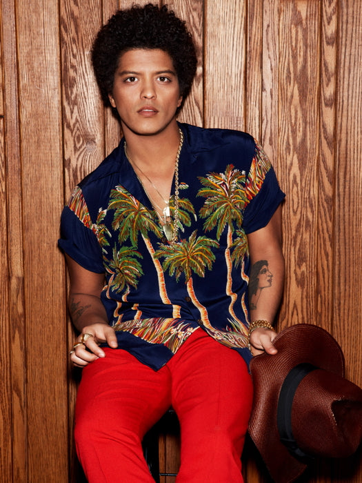 Bruno Mars Pop Singer Music Art Wall Art Print Poster