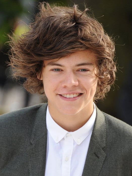 Harry Styles Smile Portrait Pop Singer Music Art Wall Art Print Poster