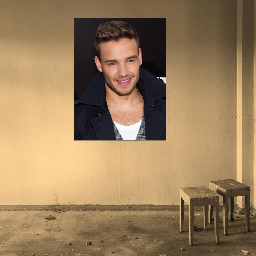 Liam Payne Pop Singer Music Art Wall Art Print Poster