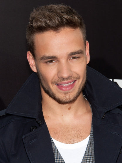 Liam Payne Pop Singer Music Art Wall Art Print Poster