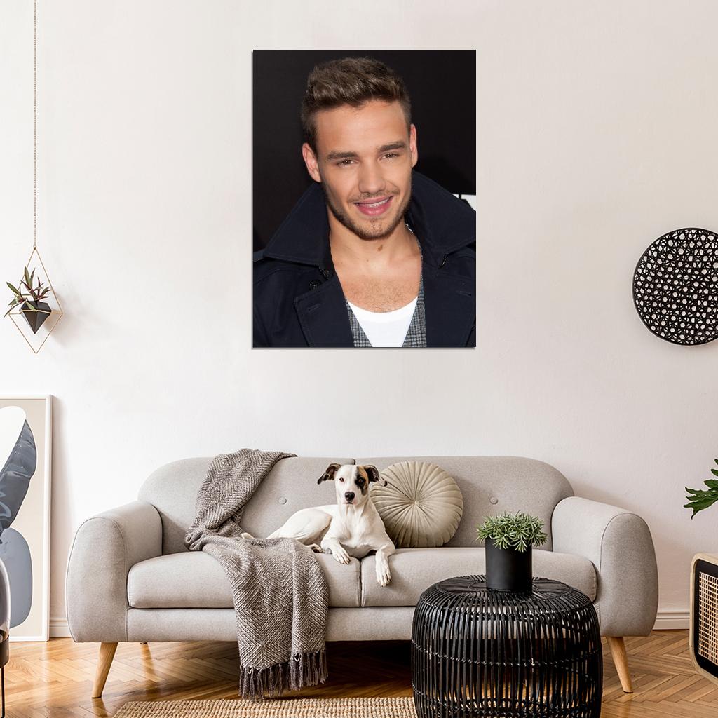 Liam Payne Pop Singer Music Art Wall Art Print Poster