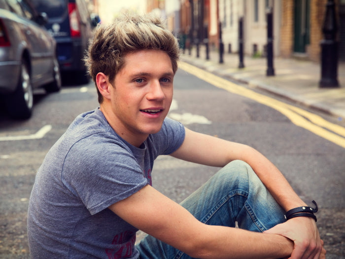 Niall Horan Pop Singer Music Art Wall Art Print Poster