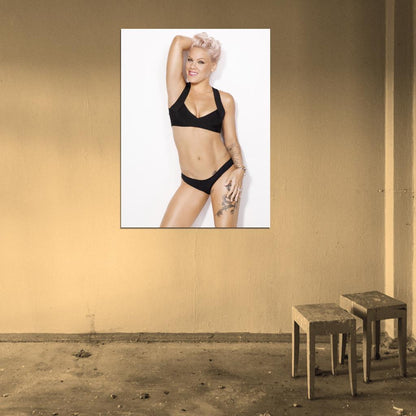 Pink Hot Sexy Pop Rock Singer Music Art Wall Art Print Poster