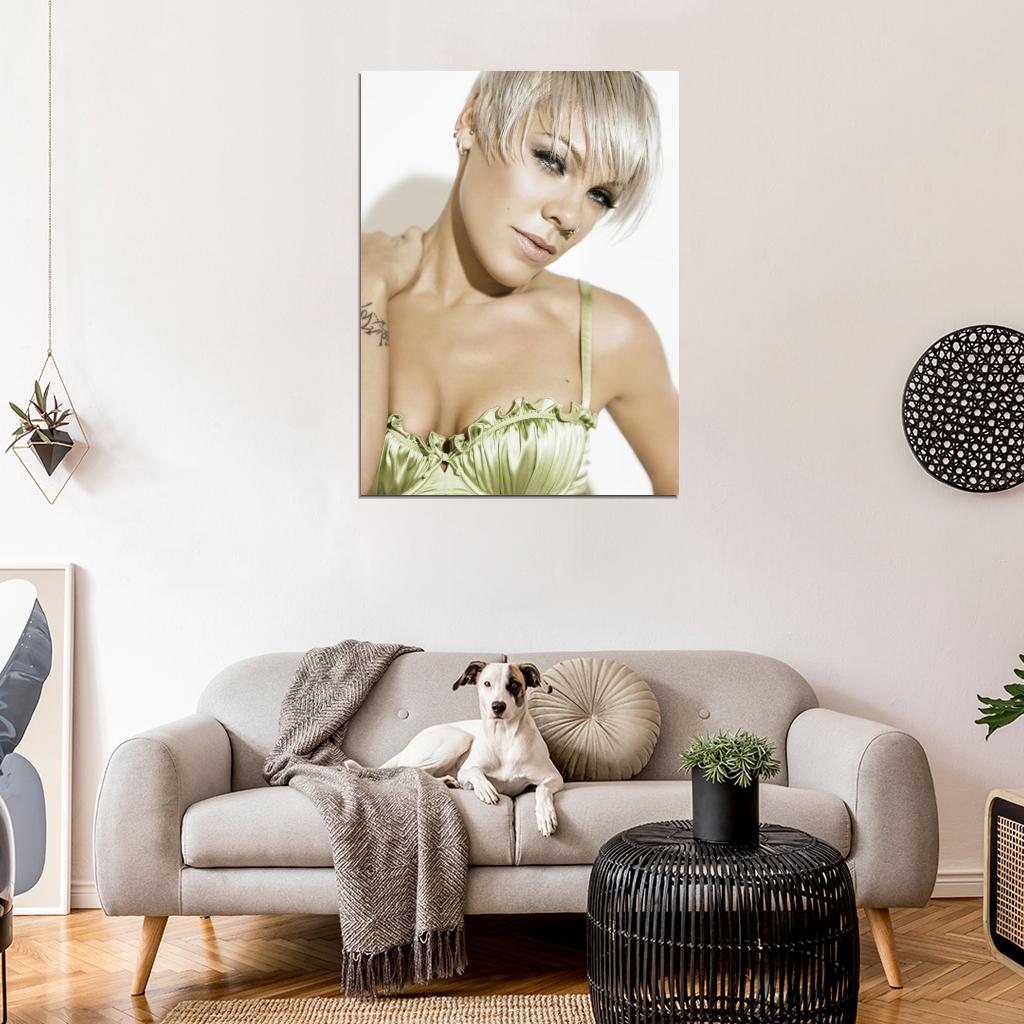 Pink Hot Portrait Beauty Pop Rock Singer Music Art Wall Art Print Poster