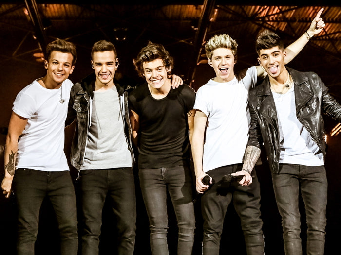 One Direction Funny Pop Band Music Art Wall Art Print Poster