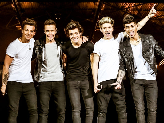 One Direction Funny Pop Band Music Art Wall Art Print Poster