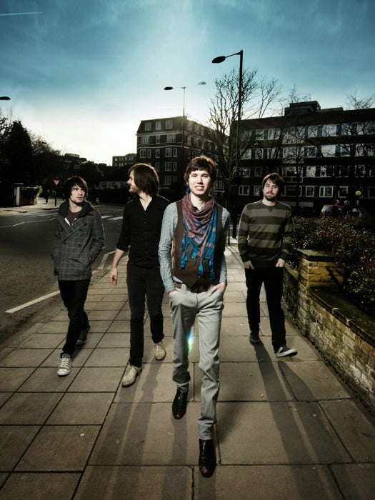 Panic At the Disco Pop Punk Band Music Art Wall Art Print Poster