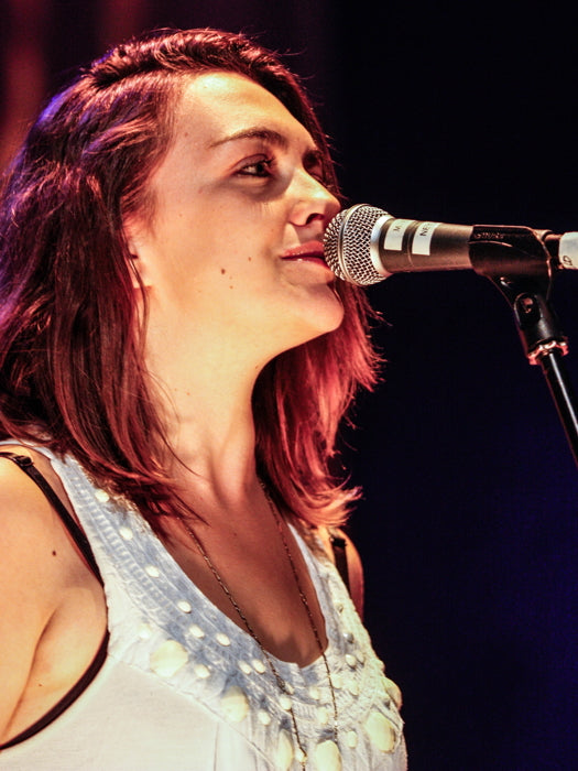 The Lumineers Neyla Pekarek Indie Folk Rock Band Music Art Wall Art Print Poster