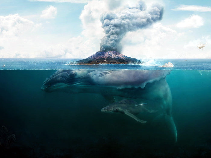 Giant Whale Sea Volcano Fantasy Art Animal Nature Wall Art Print Poster
