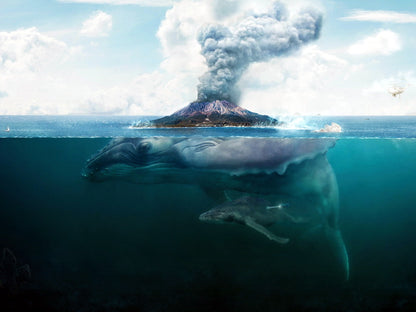 Giant Whale Sea Volcano Fantasy Art Animal Nature Wall Art Print Poster