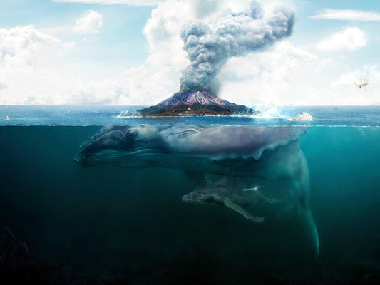 Giant Whale Sea Volcano Fantasy Art Animal Nature Wall Art Print Poster