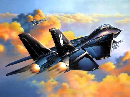 Grumman F-14 Tomcat Black Air Forces Sunset Art War Military Wall Art Print Poster