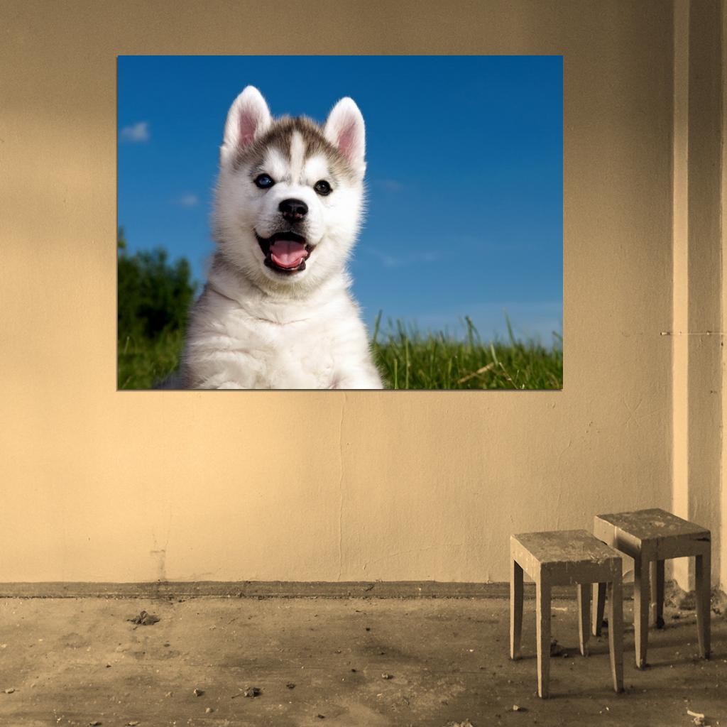 Cute Husky Puppy Happy Dog Animal Beautiful Nature Wall Art Print Poster