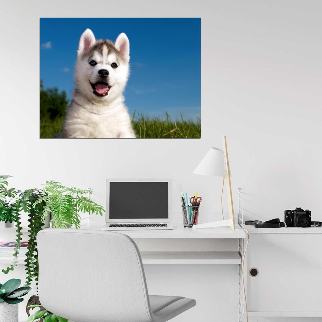 Cute Husky Puppy Happy Dog Animal Beautiful Nature Wall Art Print Poster