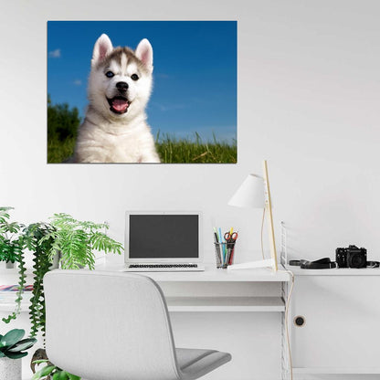 Cute Husky Puppy Happy Dog Animal Beautiful Nature Wall Art Print Poster