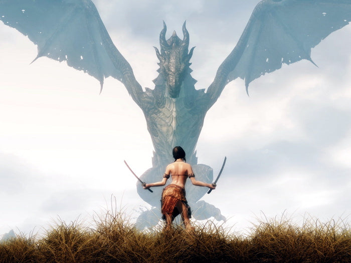 Hot Girl Warrior Swords Dragon Fantasy CG Art Wall Art Print Poster