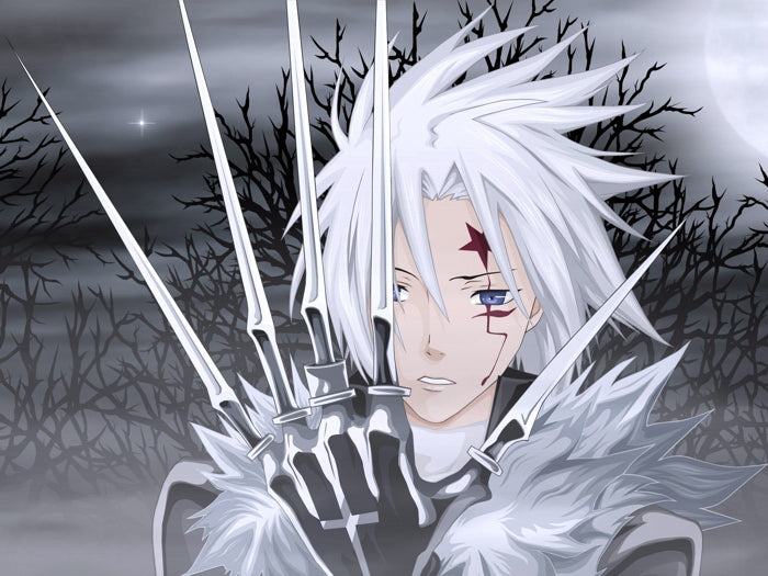 Allen Walker D.Gray-man Anime Manga Art Wall Art Print Poster