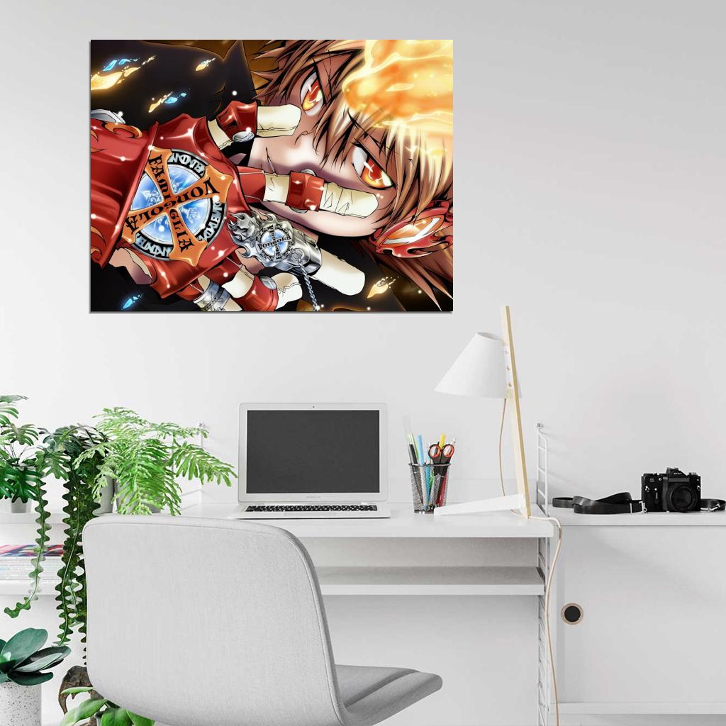 Katekyo Hitman Reborn Sawada Tsunayoshi Anime Manga Art Wall Art Print Poster