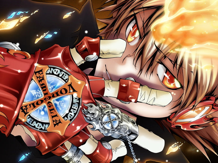 Katekyo Hitman Reborn Sawada Tsunayoshi Anime Manga Art Wall Art Print Poster