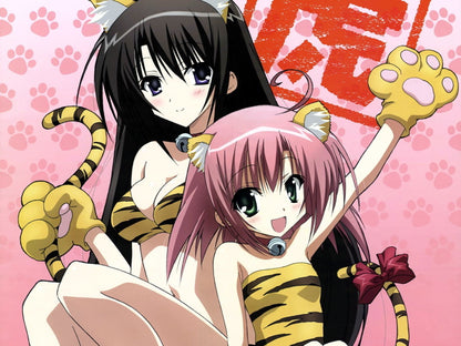 Seitokai No Ichizon Anime Manga Art Wall Art Print Poster