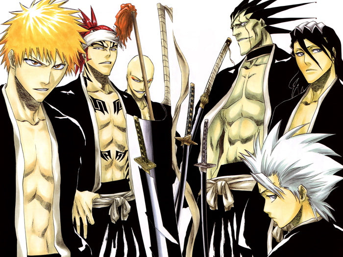 Bleach Character Anime Manga Art Wall Art Print Poster
