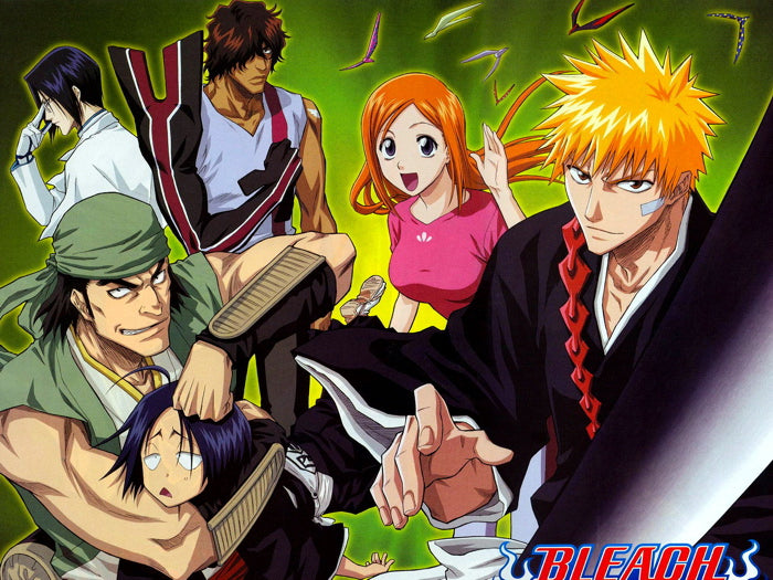 Bleach Characters Anime Manga Art Wall Art Print Poster