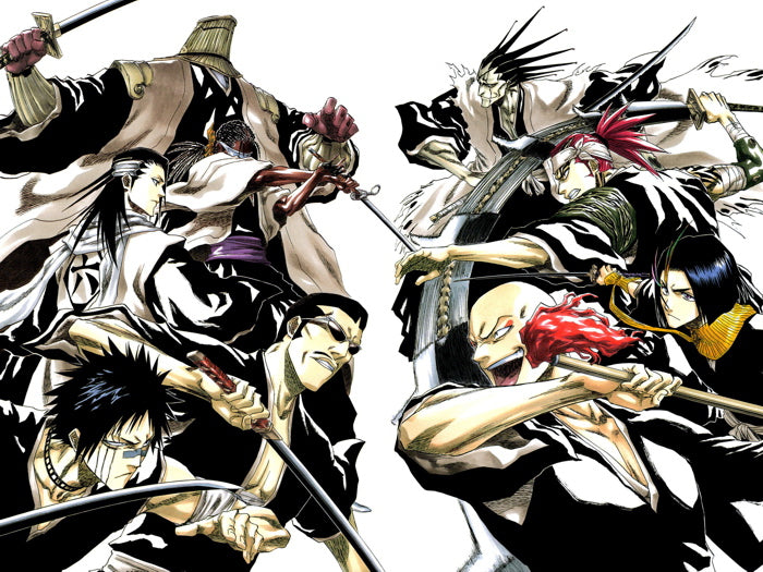 Bleach Characters Cool Art Anime Manga Wall Art Print Poster