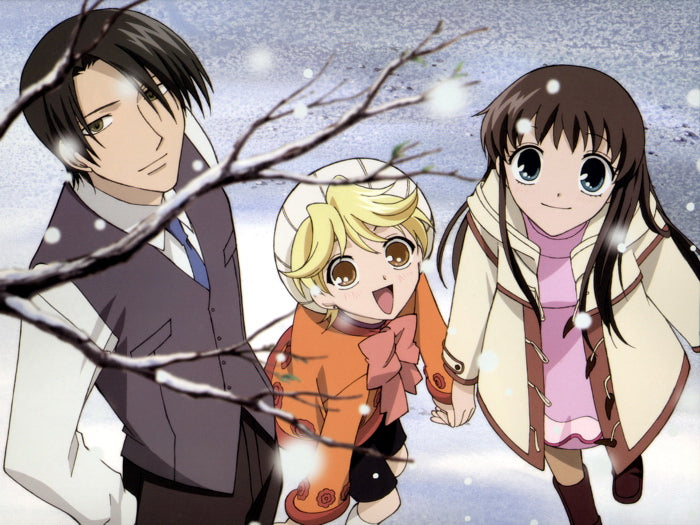 Fruits Basket Characters Anime Manga Art Wall Art Print Poster