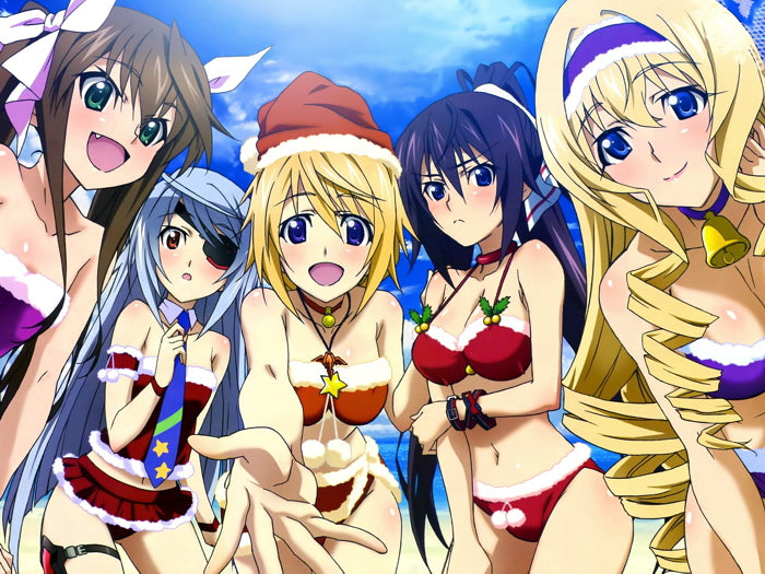 Infinite Stratos Sexy Girl Characters Anime Manga Art Wall Art Print Poster