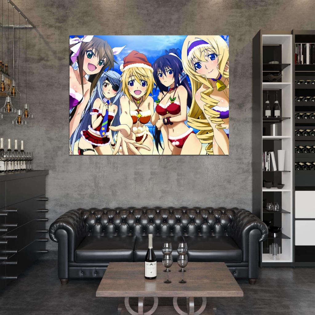 Infinite Stratos Sexy Girl Characters Anime Manga Art Wall Art Print Poster