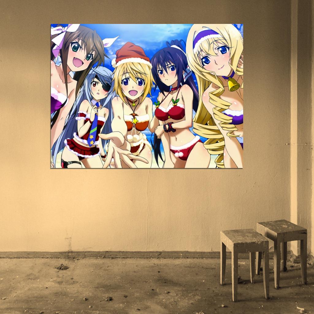 Infinite Stratos Sexy Girl Characters Anime Manga Art Wall Art Print Poster