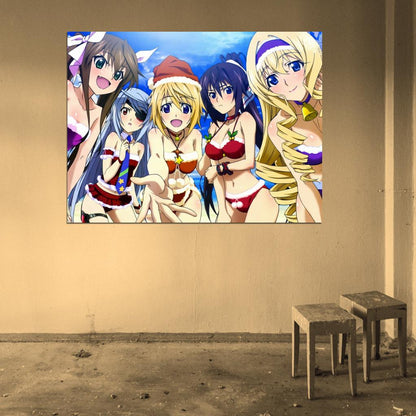 Infinite Stratos Sexy Girl Characters Anime Manga Art Wall Art Print Poster