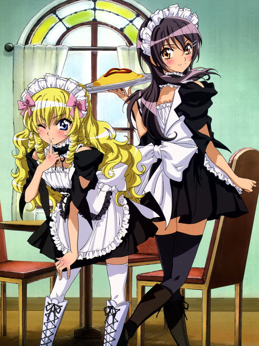 Kaichou Wa Maid-Sama Misaki Ayuzawa Aoi Hyoudou Anime Manga Art Wall Art Print Poster
