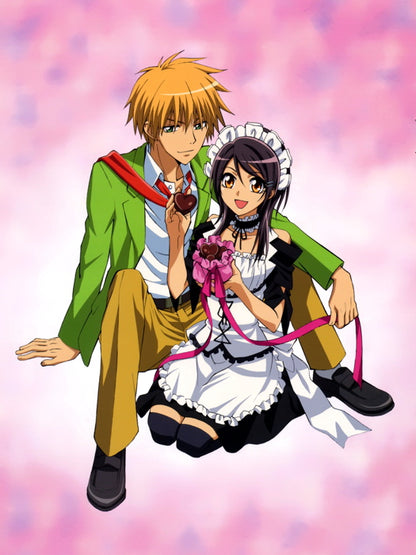 Kaichou Wa Maid-Sama! Takumi Usui Misaki Ayuzawa Anime Manga Art Wall Art Print Poster