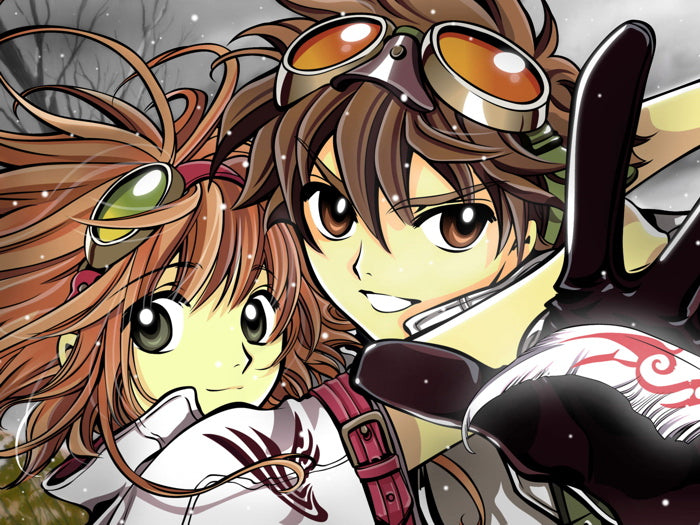 Tsubasa Reservoir Chronicle Anime Manga Art Wall Art Print Poster