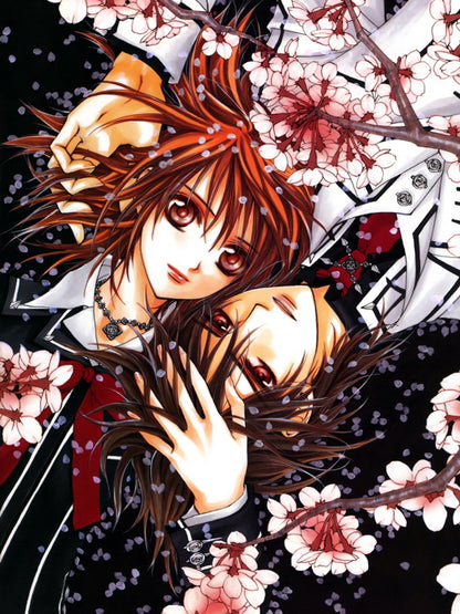 Vampire Knight Anime Manga Art Wall Art Print Poster
