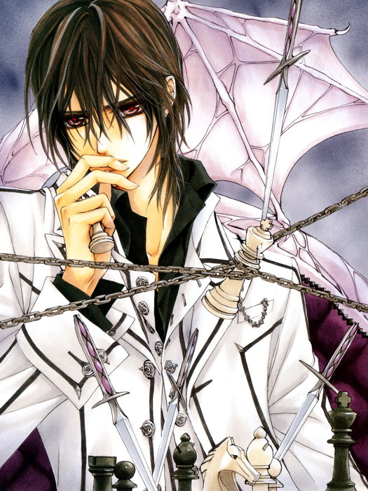 Vampire Knight Painting Anime Manga Art Wall Art Print Poster