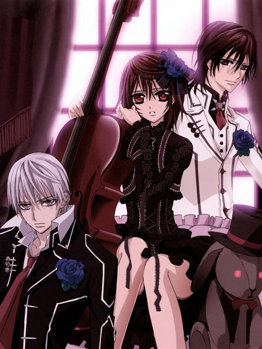 Vampire Knight Characters Anime Manga Art Wall Art Print Poster
