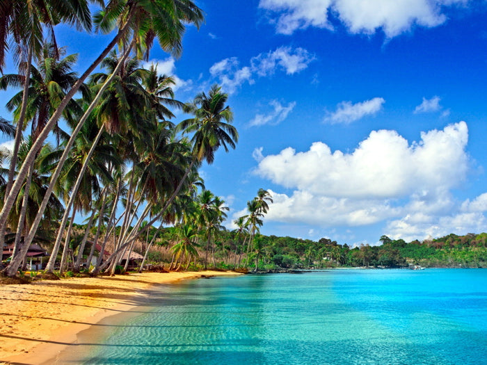 Paradise Palms Sea Beautiful Ocean Tropical Beach Wall Art Print Poster